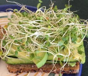 nutrition sprouts layer