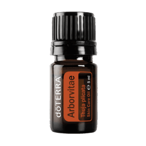 Arborvitae