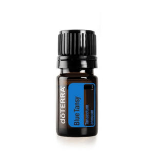 Blue Tansy